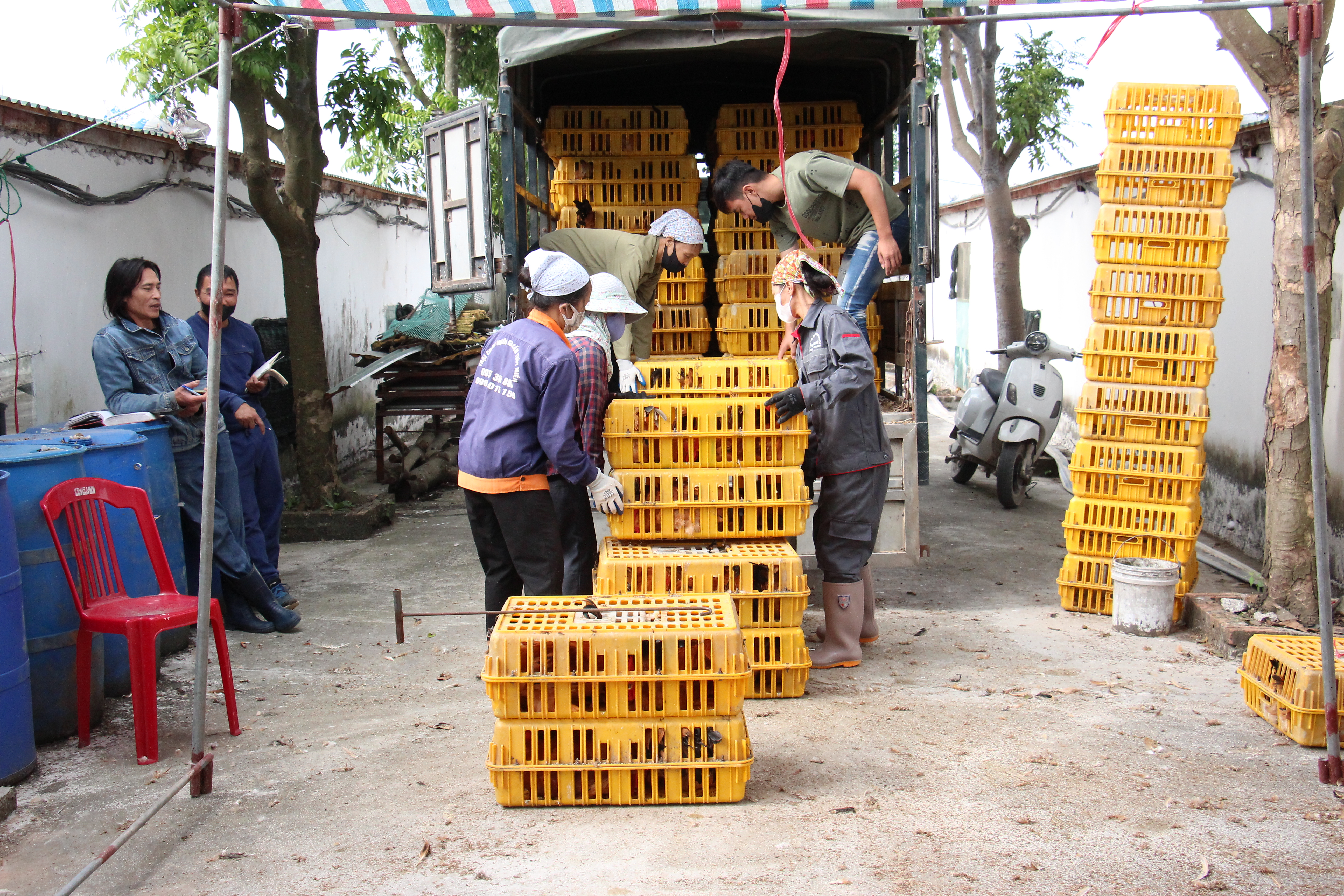 Tuyên truyền, giới thiệu điển hình tiên tiến trong phong trào thi đua xây dựng nông thôn mới, nông thôn kiểu mẫu