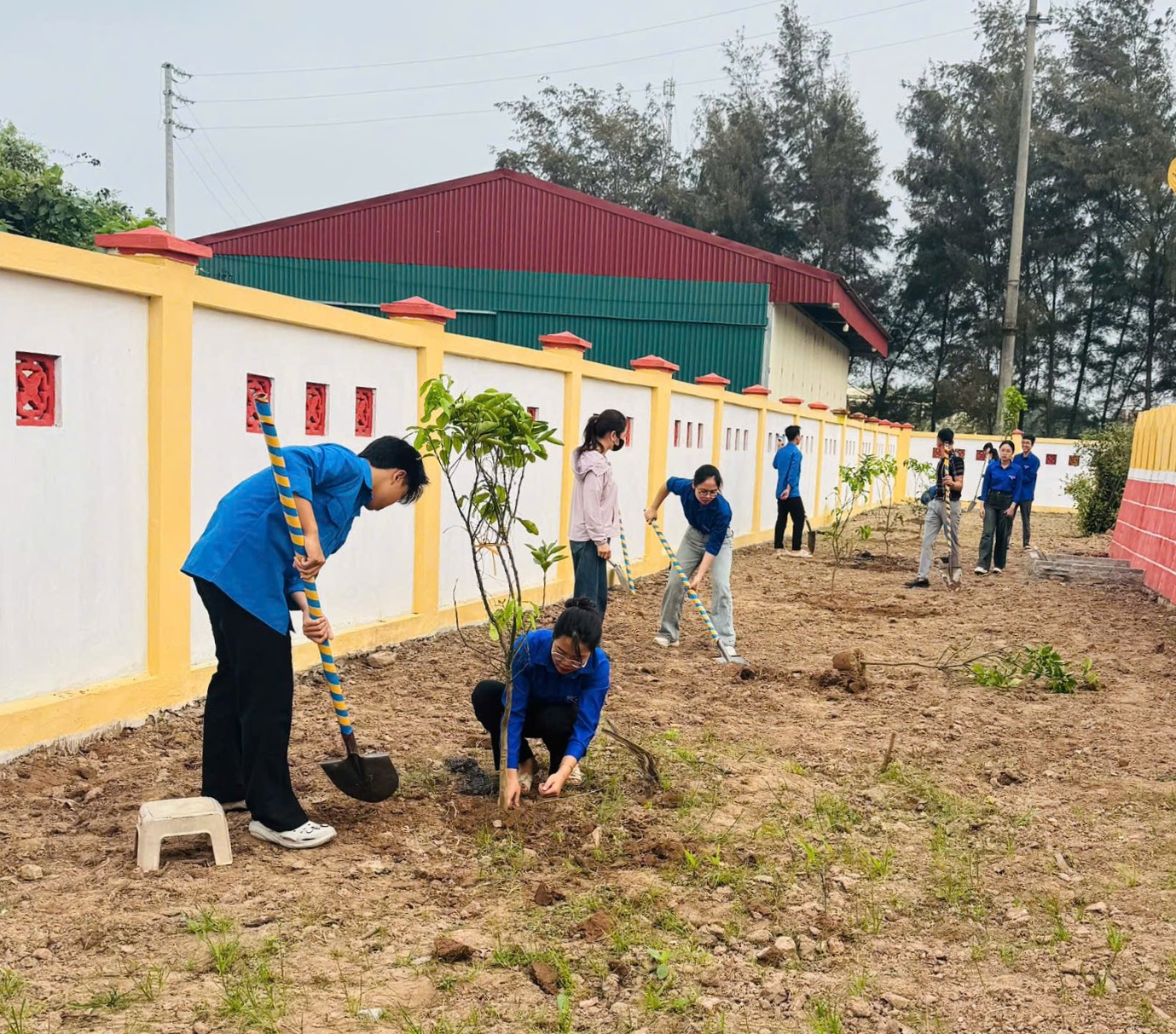 Đoàn xã Vũ Tiên tổ chức trồng cây xanh chào mừng 95 năm thành lập Đoàn TNCS Hồ Chí Minh