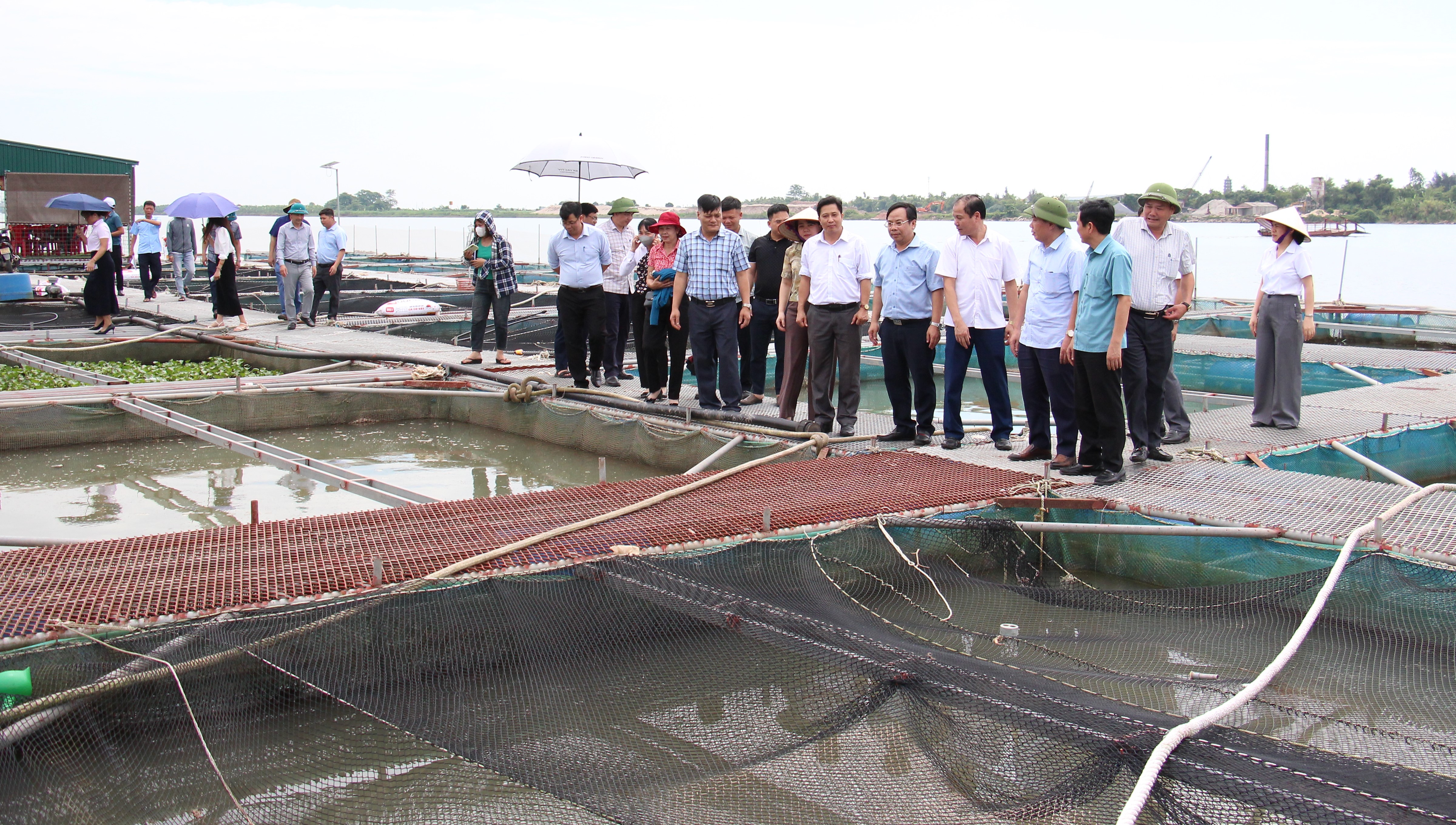 Xã Vũ Tiên tiếp đoàn thăm quan, trao đổi kinh nghiệm xây dựng mô hình nuôi cá lồng trên sông Hồng