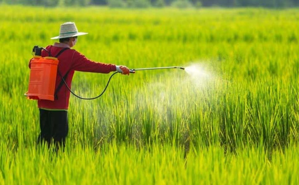 Ngày 24/9 Ủy ban nhân dân xã Vũ Tiên ban hành văn bản về việc thực hiện phòng trừ sâu bệnh trên lúa Mùa 2026