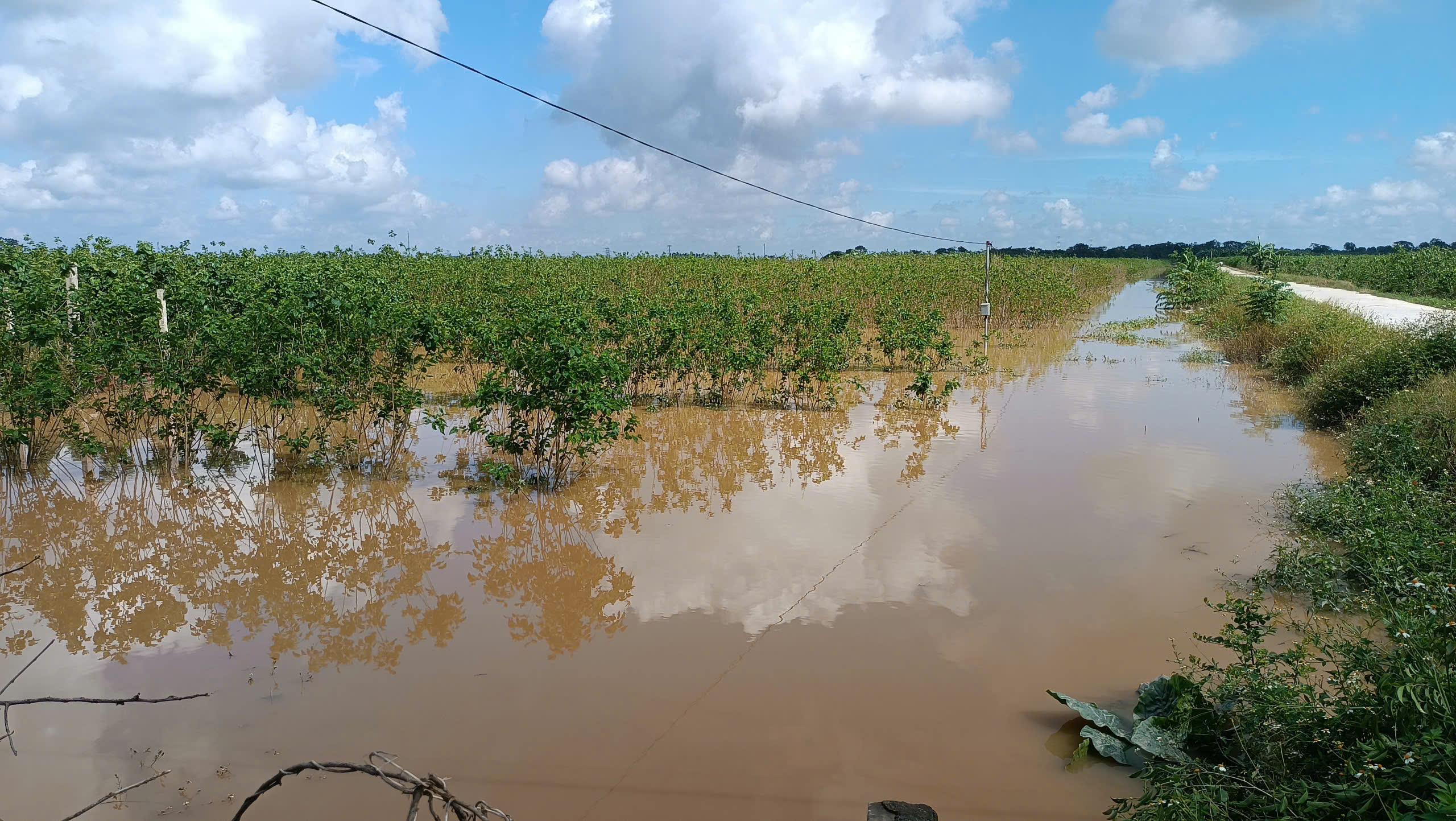 Vũ Tiên triển khai phương án ứng phó với Lũ trên sông Hồng