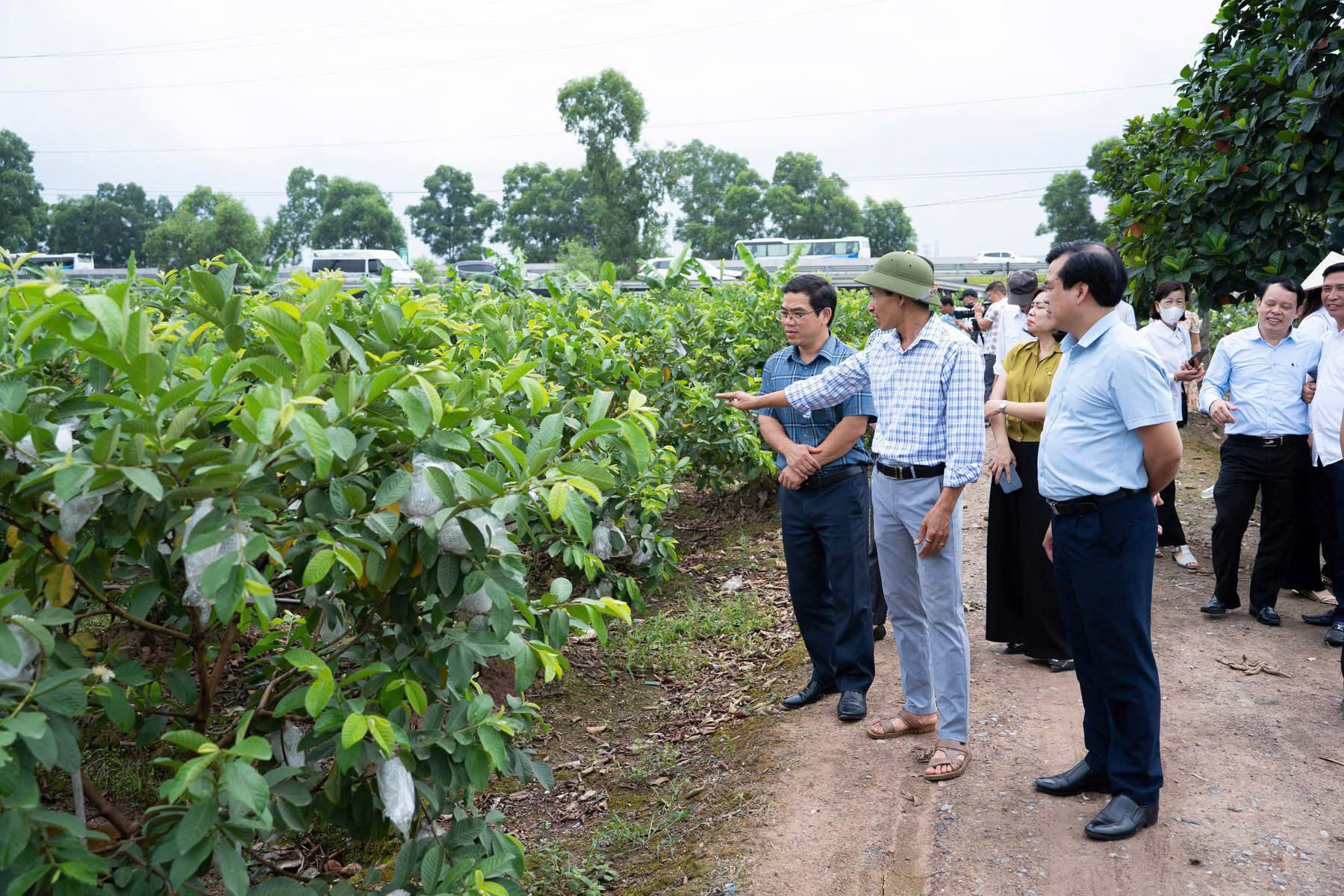 Xã Vũ Tiên tham quan, học tập mô hình kinh tế nông nghiệp hiệu quả tại xã Hoàn Long